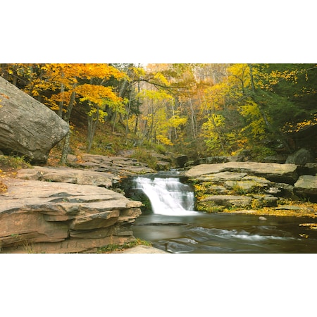 Biggies Scenes Wall Murals-Stream, 54 in wide x 27 in high BG-WM-STM-54